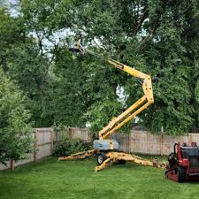 Best Grass Overseeding  in Roaming Shores, OH