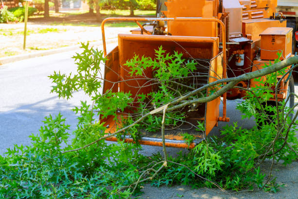Best Weed Control  in Roaming Shores, OH