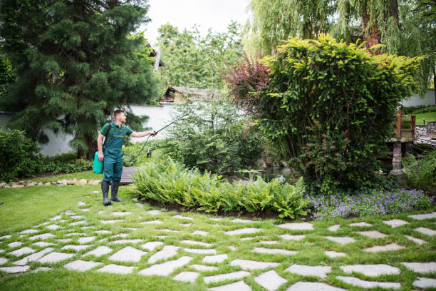 Best Lawn Irrigation Installation and Maintenance  in Roaming Shores, OH
