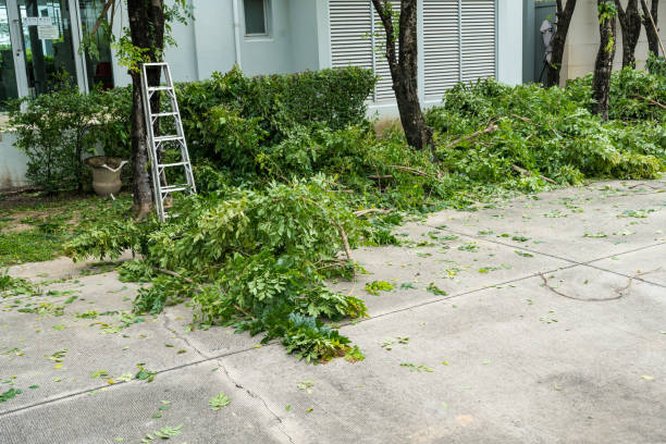  Roaming Shores, OH Tree Services Pros